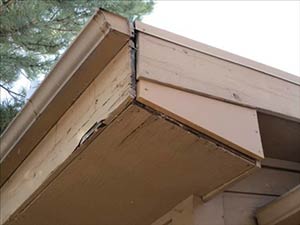 Soffit Repair