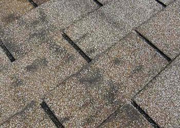 Dark, dirty-looking areas on your roof.